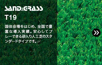SAND GRASS T19