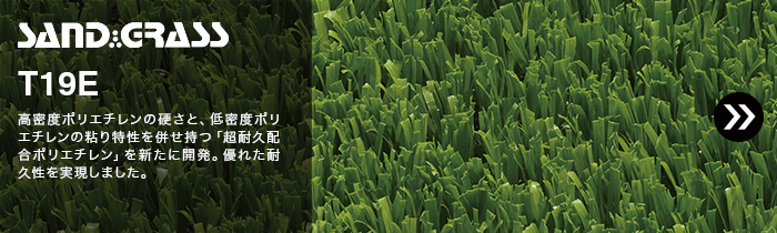 SAND GRASS T19E