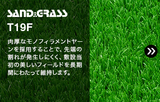 SAND GRASS T19F