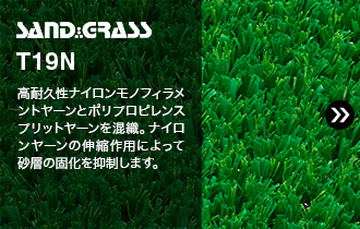 SAND GRASS T19N